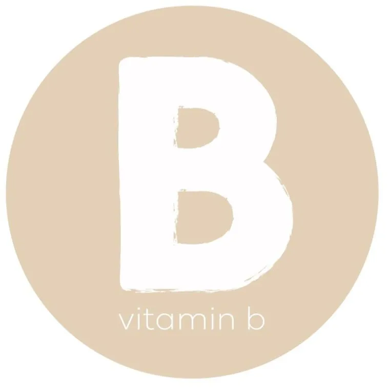 Vitamin B Nutrition | Recipes