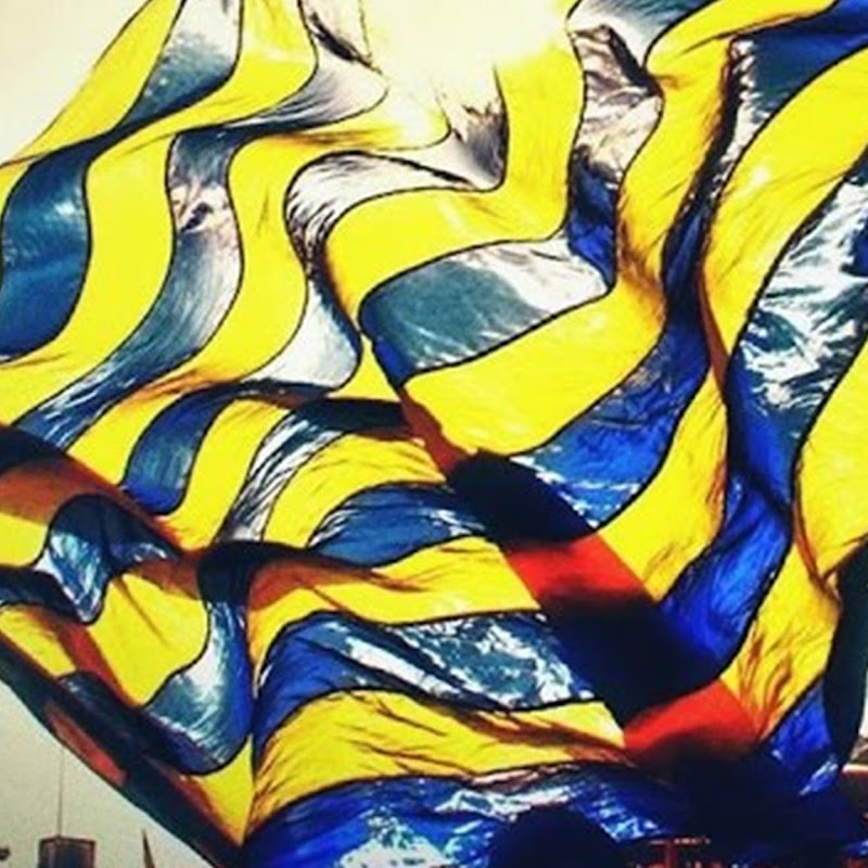 Fenerbahçeli