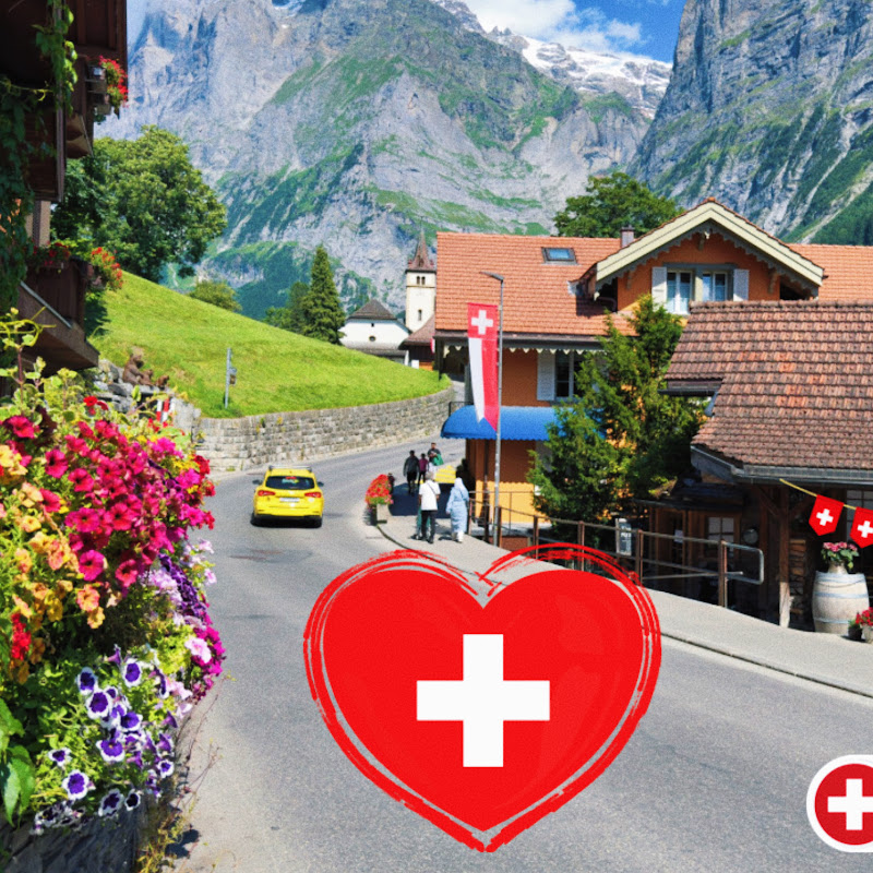 Swiss View