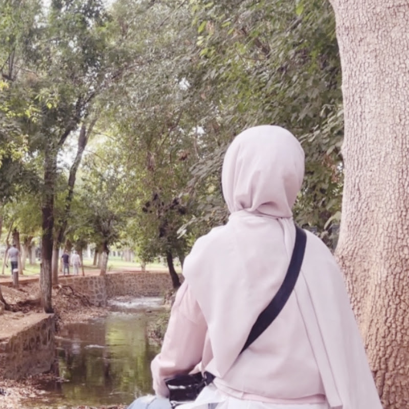 ShazA vlogs