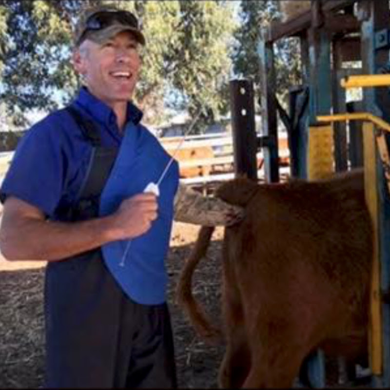 Enoch The Cow Vet