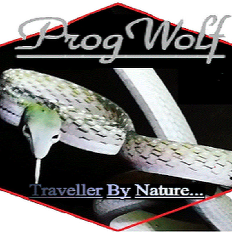 ProgWolf - Traveler By Nature