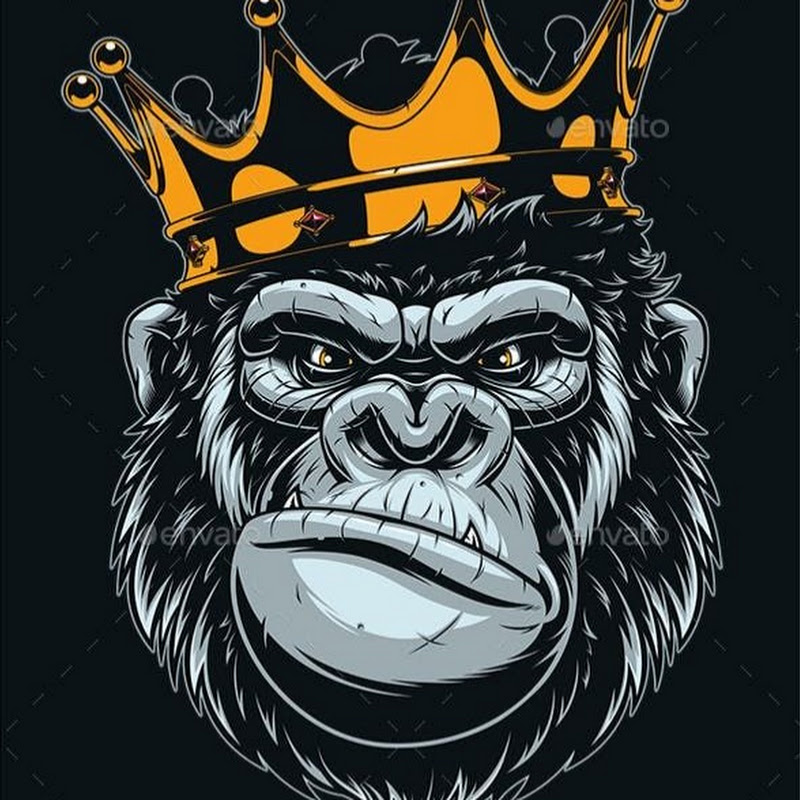 EL REY DE LAS BANCAS