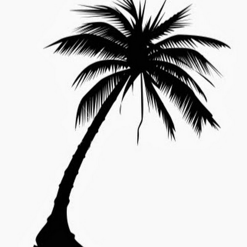 La_Palmeraie