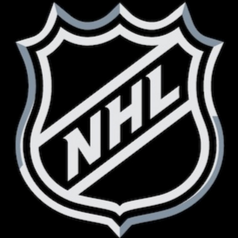 The Best Of The NHL