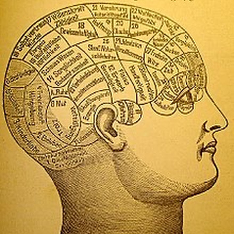 clipmind
