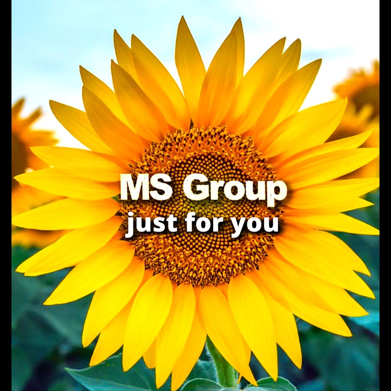 MS Group