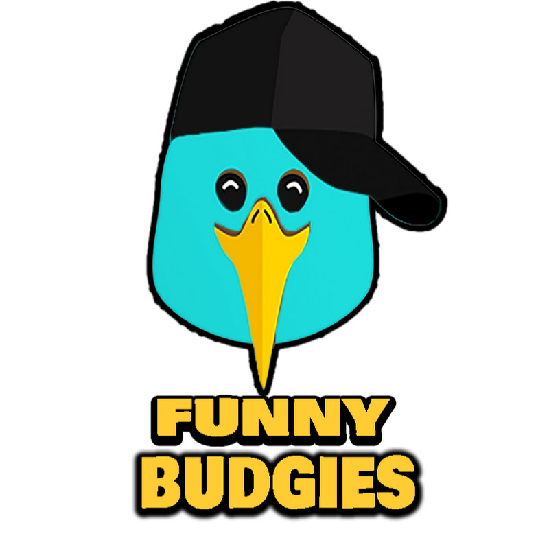 Funny Budgies