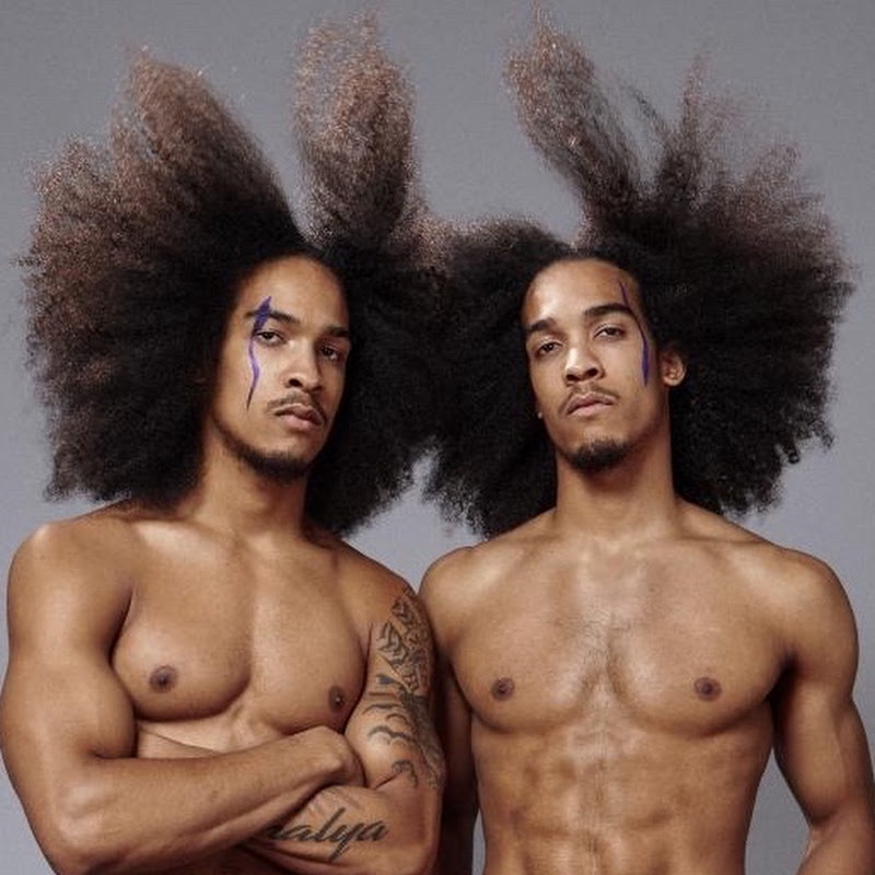 Georges Twins