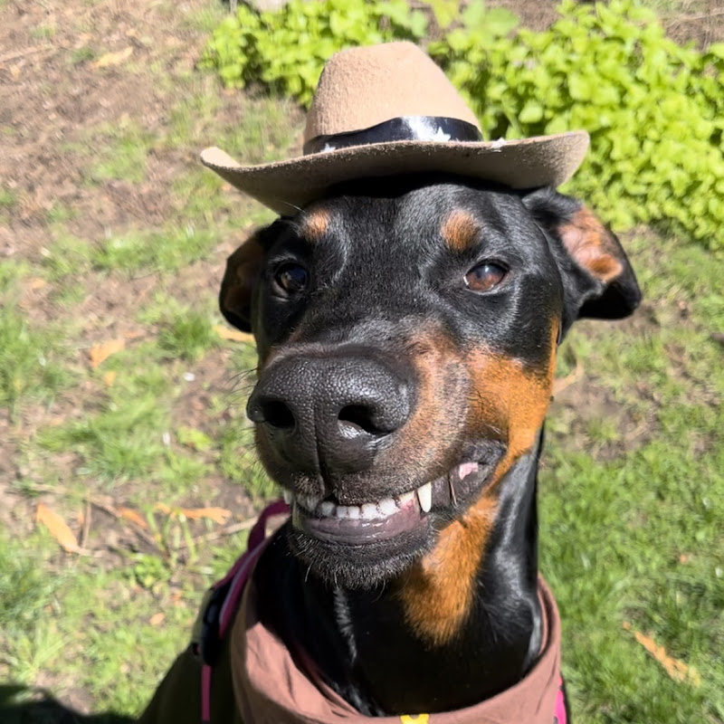 Cowboy ❤️