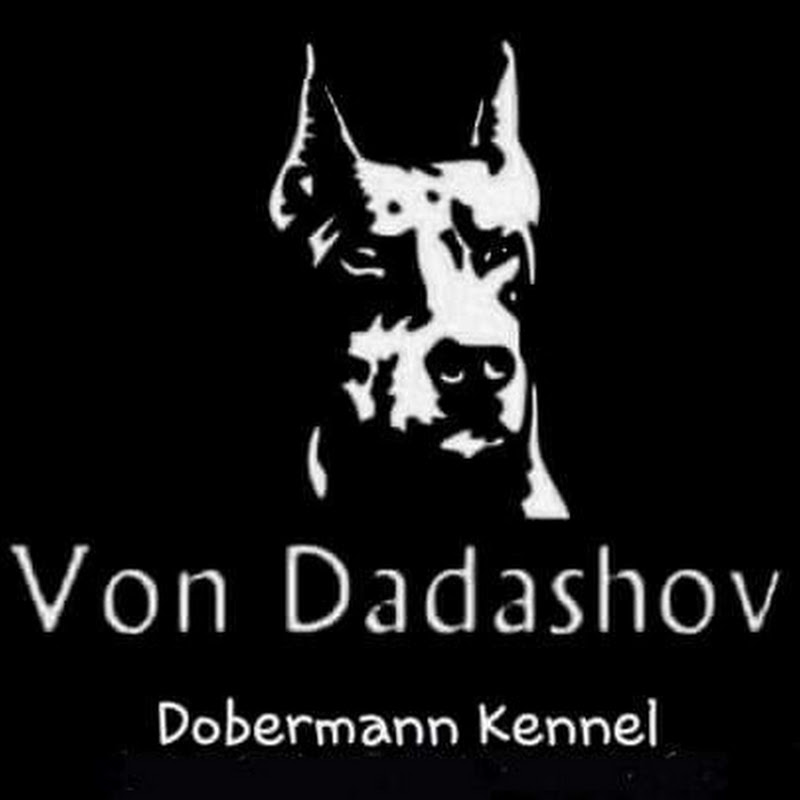 Von Dadashov Doberman Channel