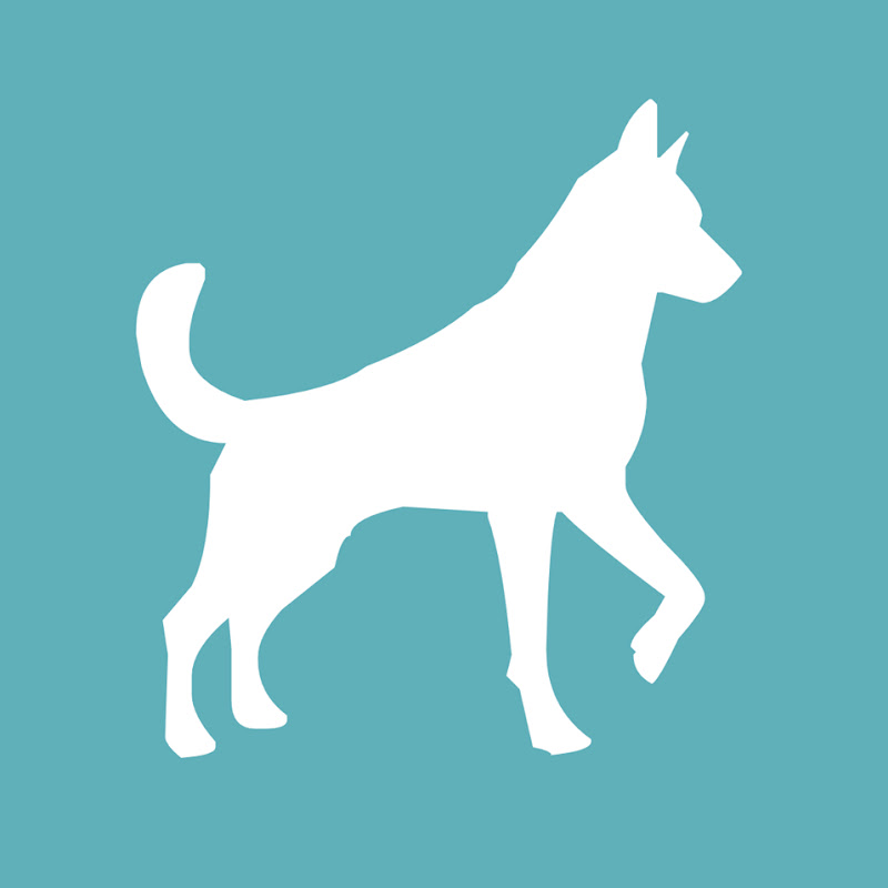 Dogpoint Útulek Pro Psy