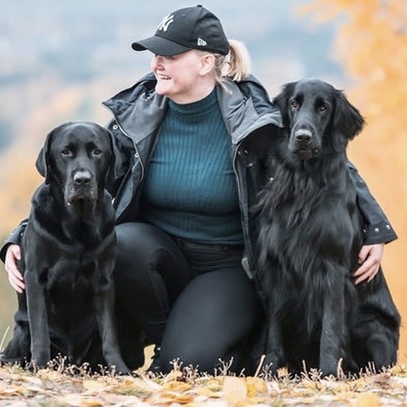 Åsa Jonsson