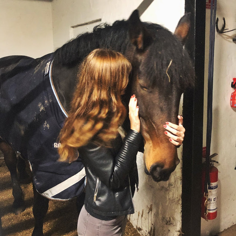 RavnEquestrian