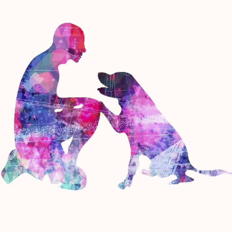 AmDogTraining │ Passione │ Condivisione │ Dinamicità