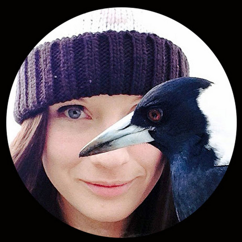The Magpie Whisperer