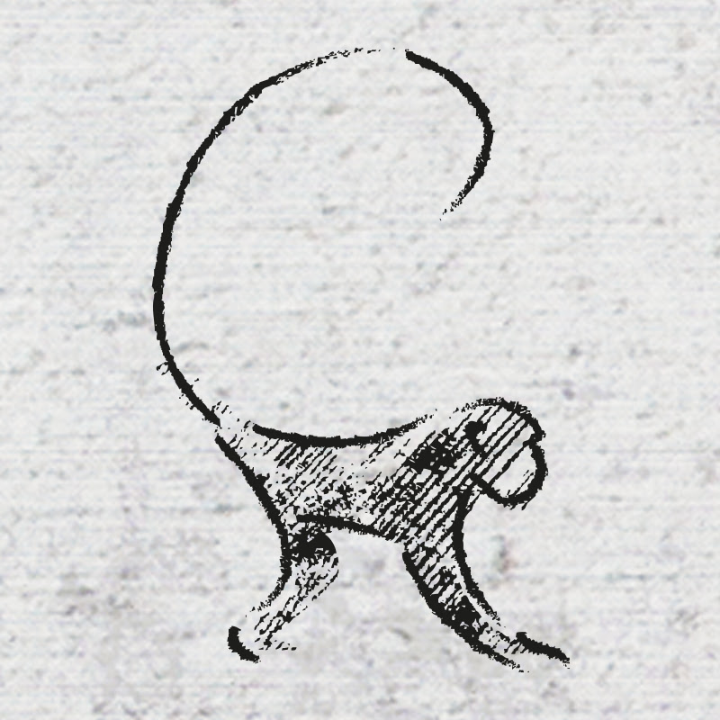 Ido Portal