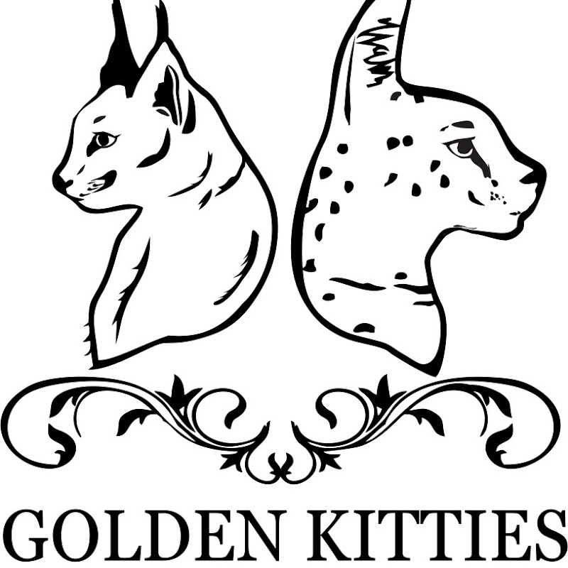 golden_kitties