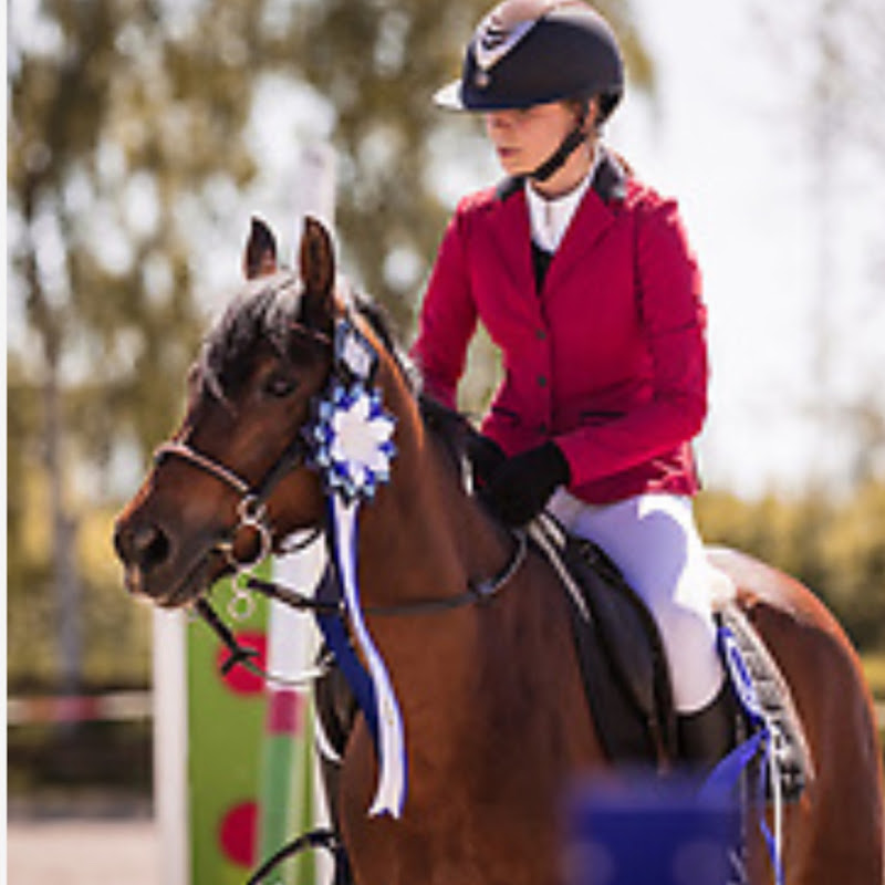 Ida’s Equestrian?