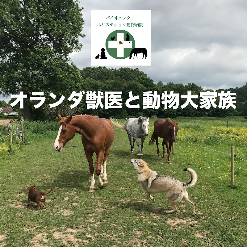 オランダ獣医と動物大家族