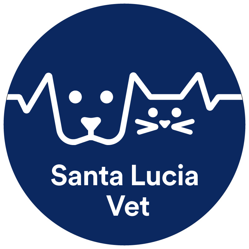 Centro Veterinario Santa Lucia