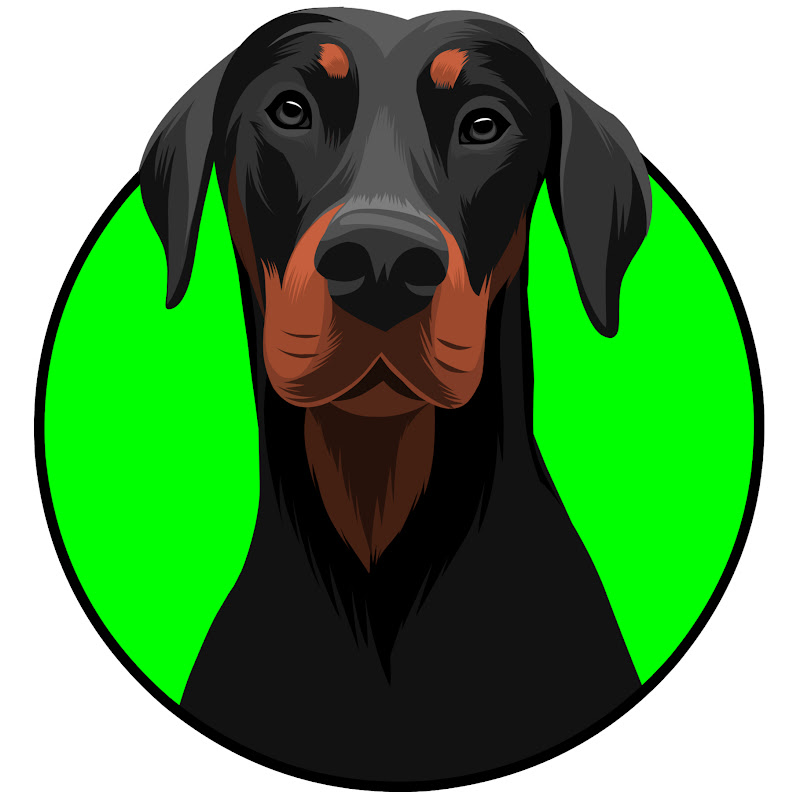 Dobermann Jeff