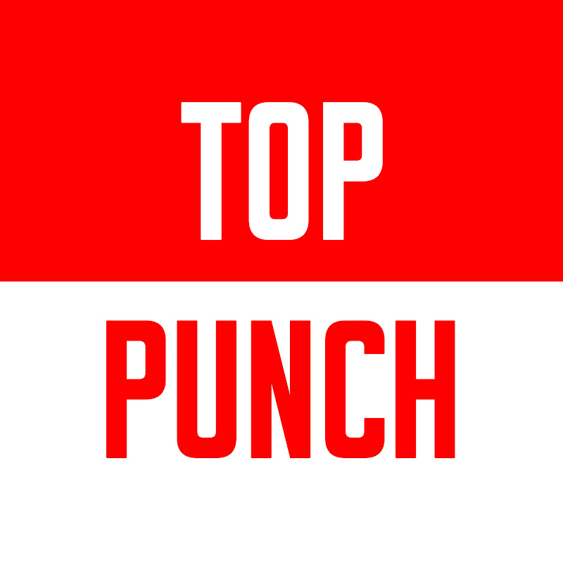 TOP PUNCH | MMA & POP MMA