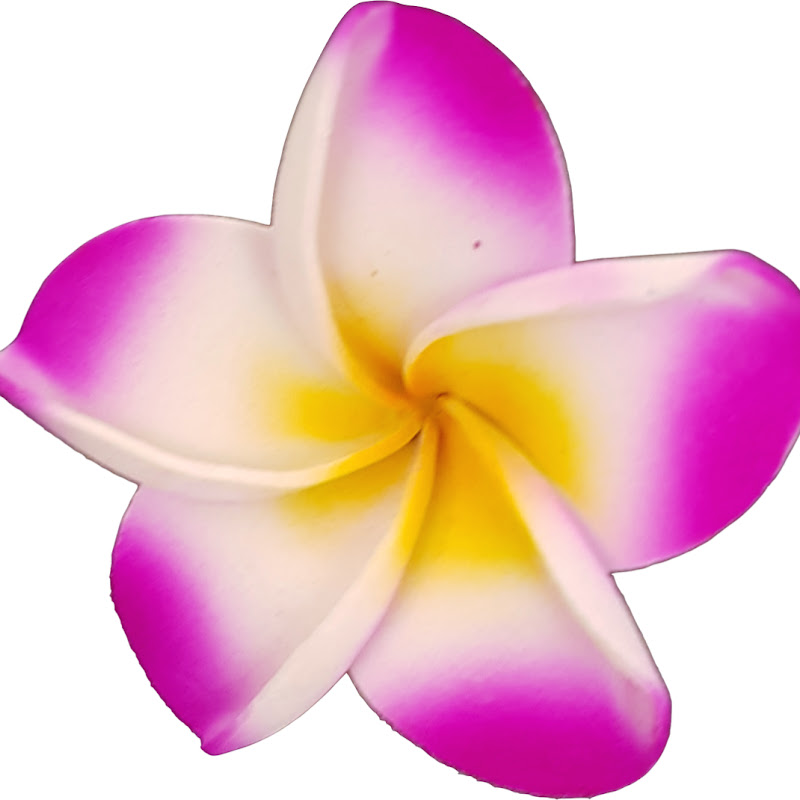 Frangipani Cook