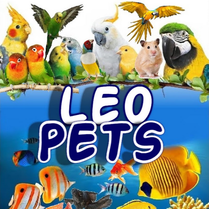 LEO PETS