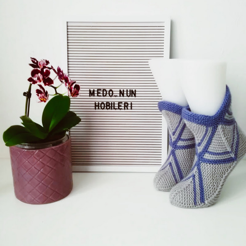 Medo Nun Hobileri