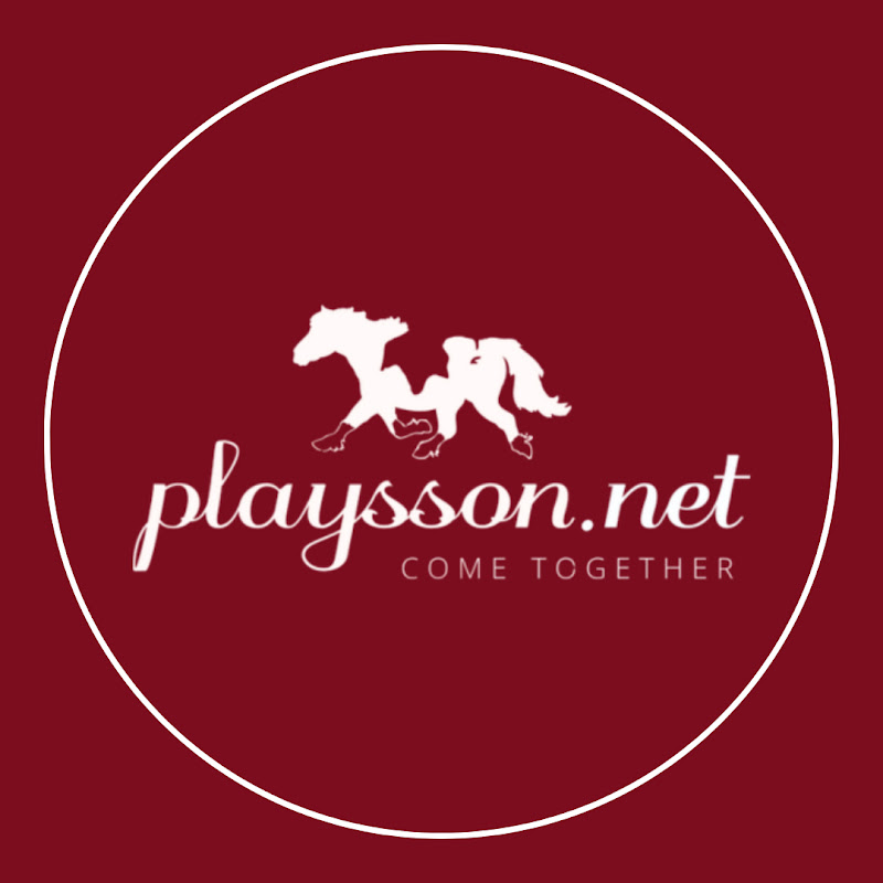 Team Playsson