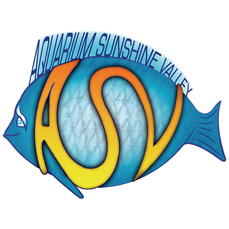 Aquarium Sunshine's Valley
