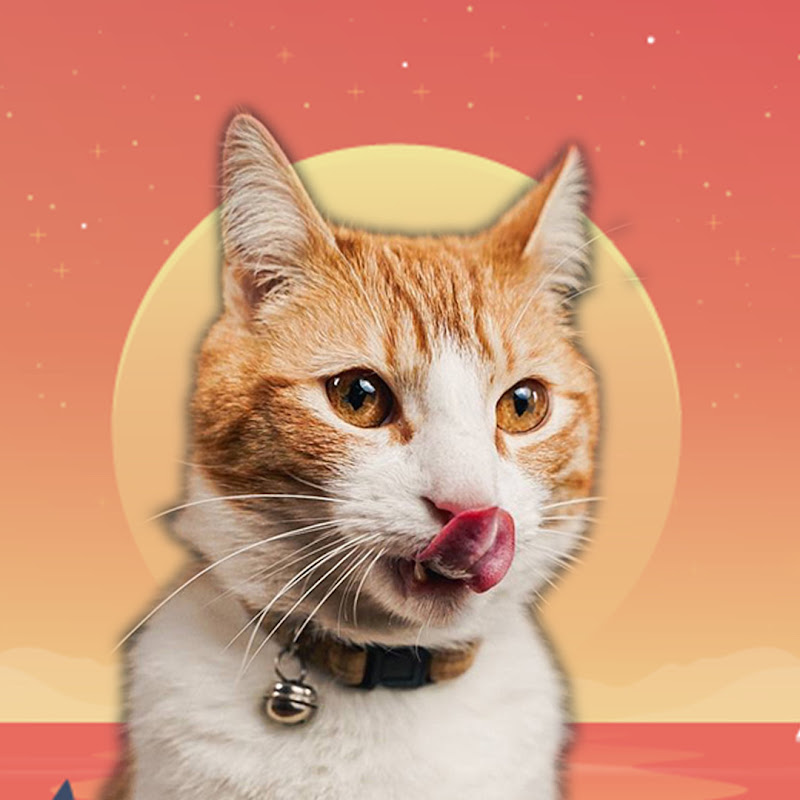 Ros 🐈 Adventure Cat