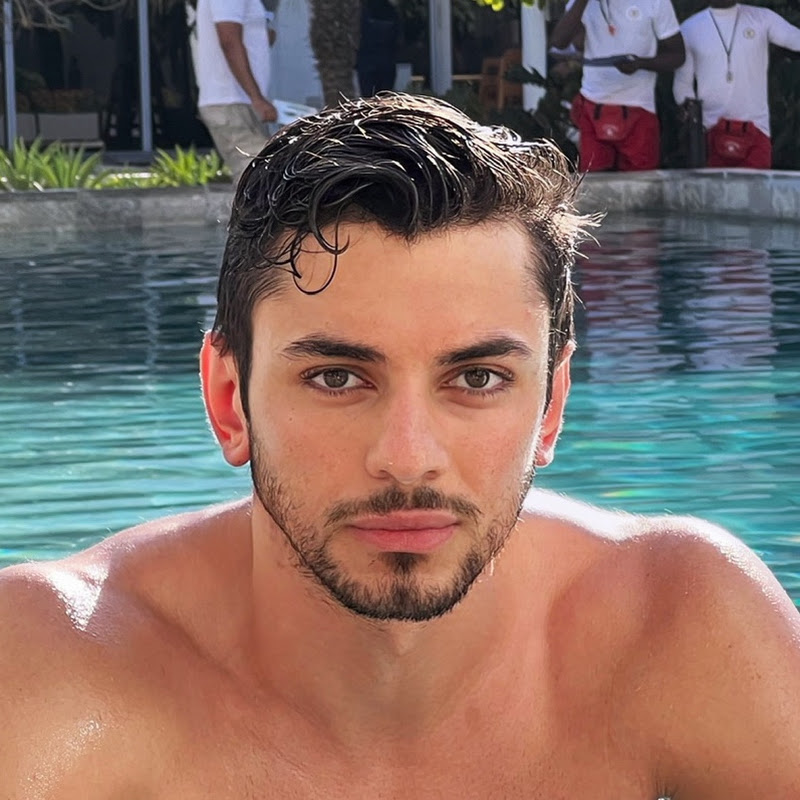 Wilmer Aryan ويلمر عريان