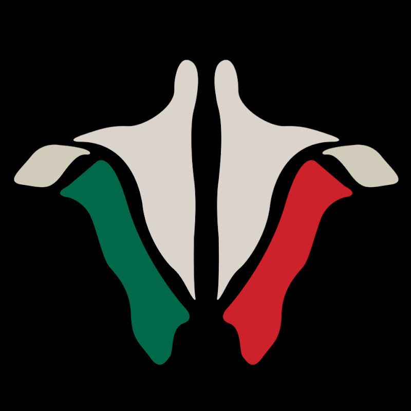 Institute Of Human Anatomy