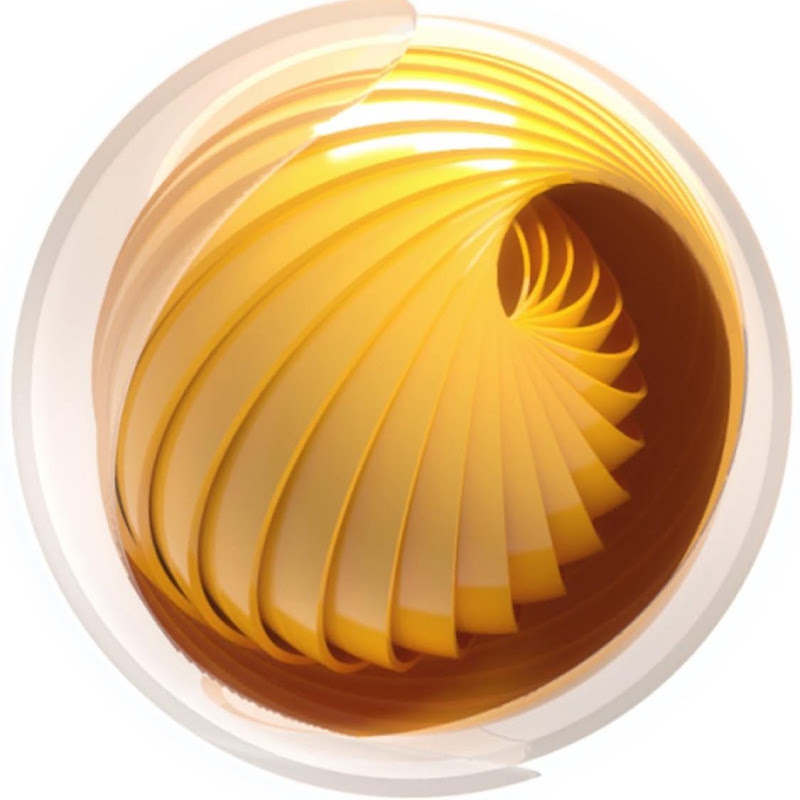 TV Zimbo Programas
