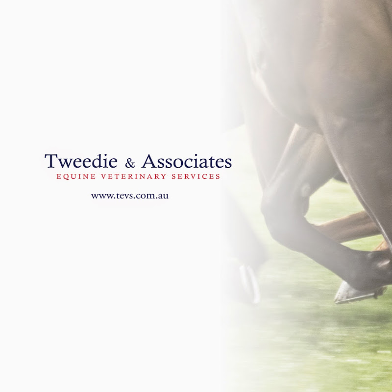 Tweedie & Associates Equine Veterinary Services
