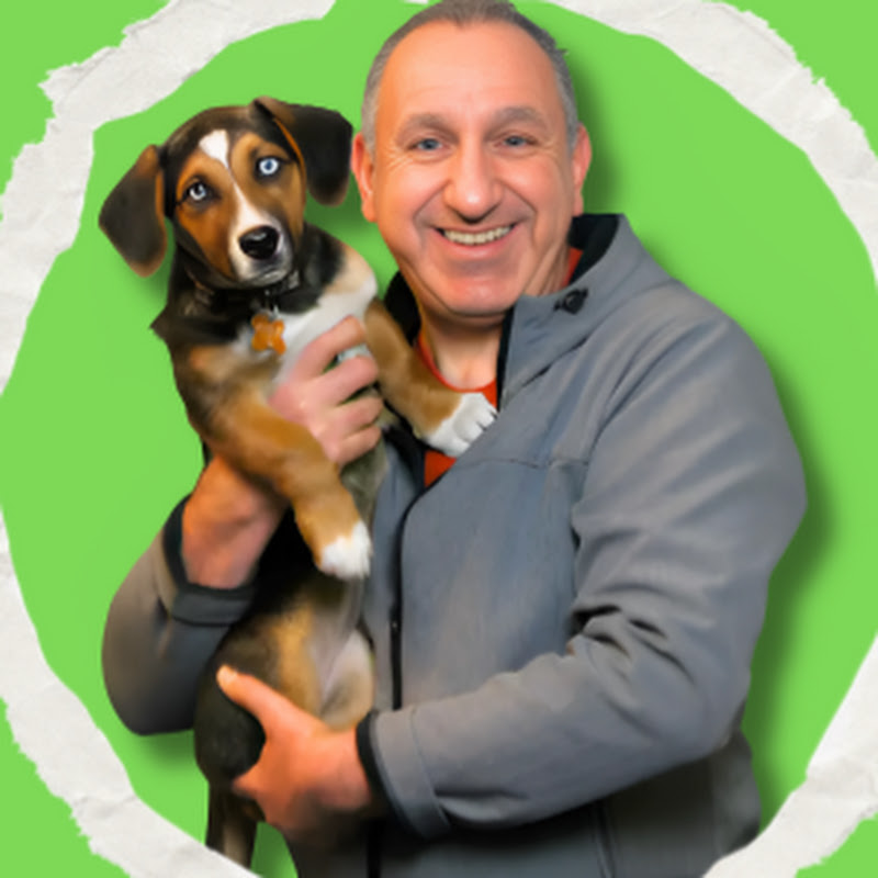 Saro Dog Training