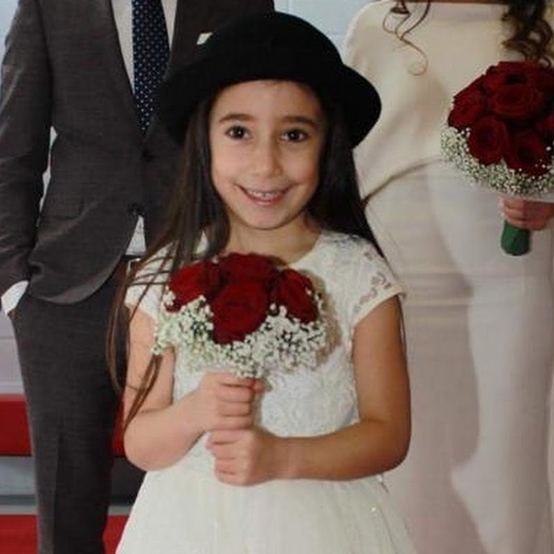 Elisin Dunyasi