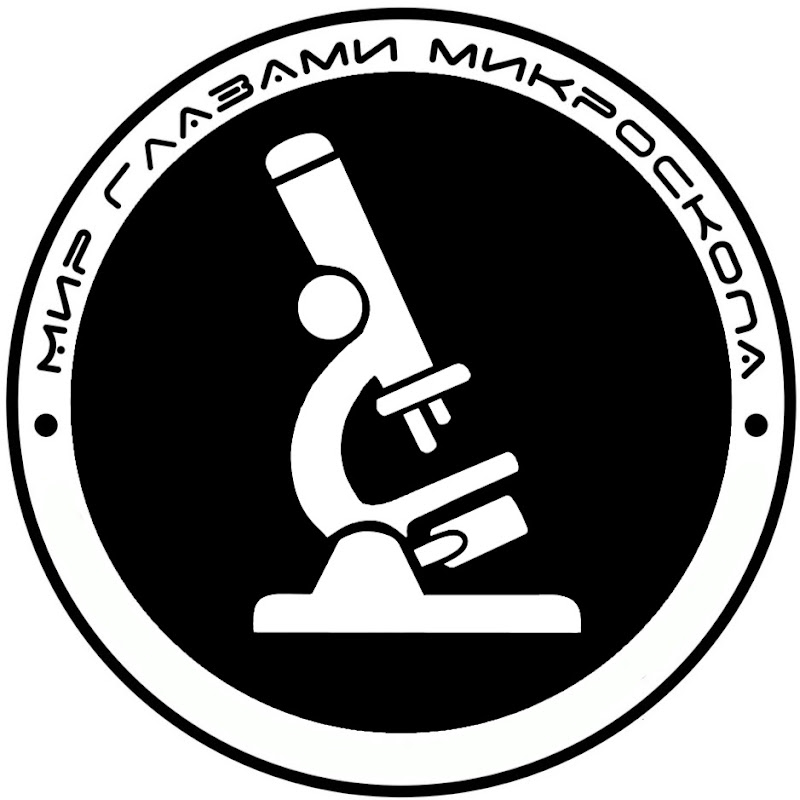 МИР ГЛАЗАМИ МИКРОСКОПА