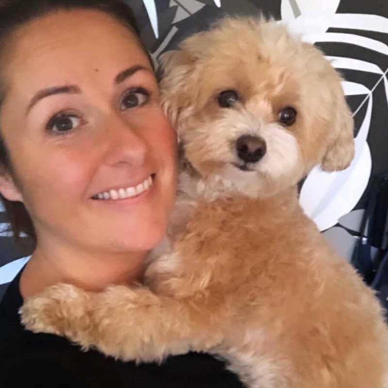 Maltipoo