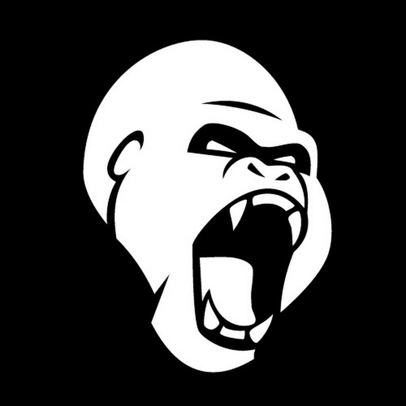 STREET GORILLA - il Metodo di Allenamento Ibrido