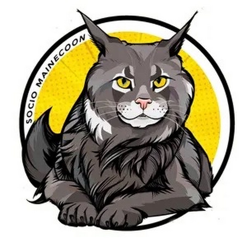 Socio Mainecoon