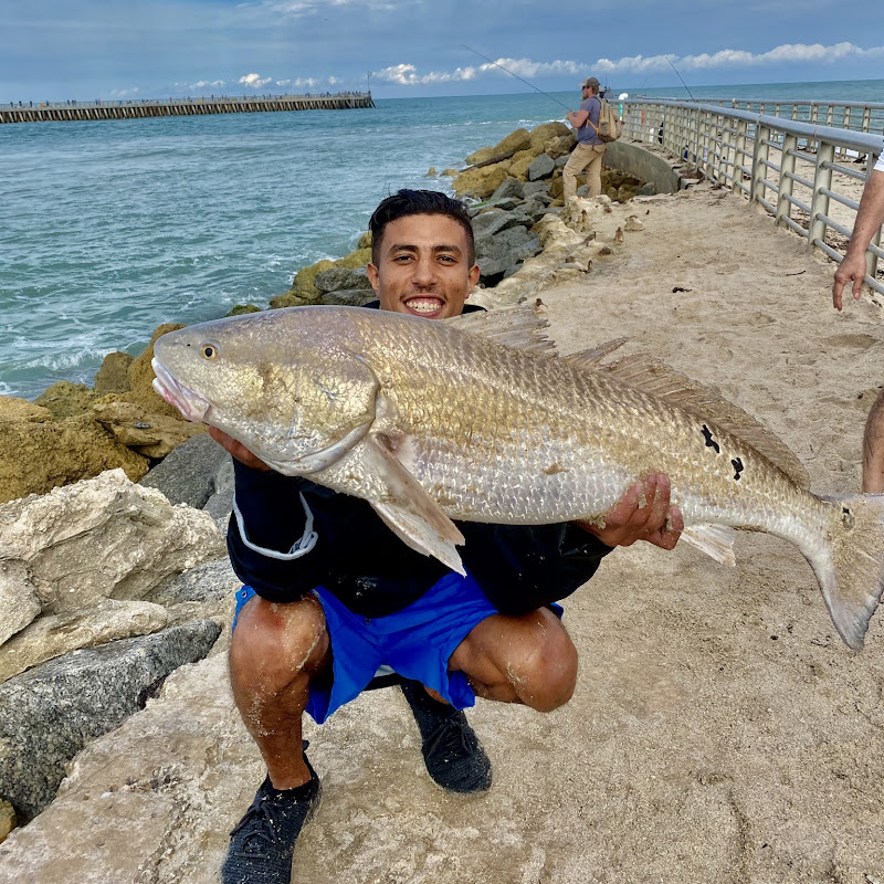 All Day Fishing