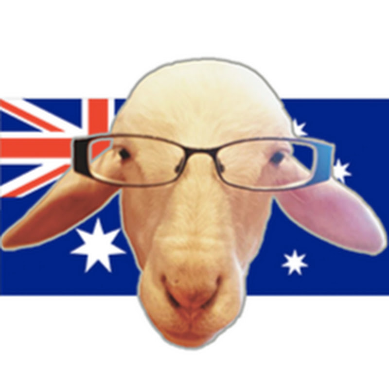 Joy The Sheep & Family