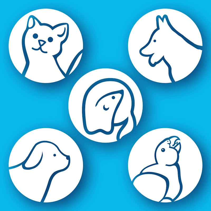 Hospital Veterinario PRÏVET
