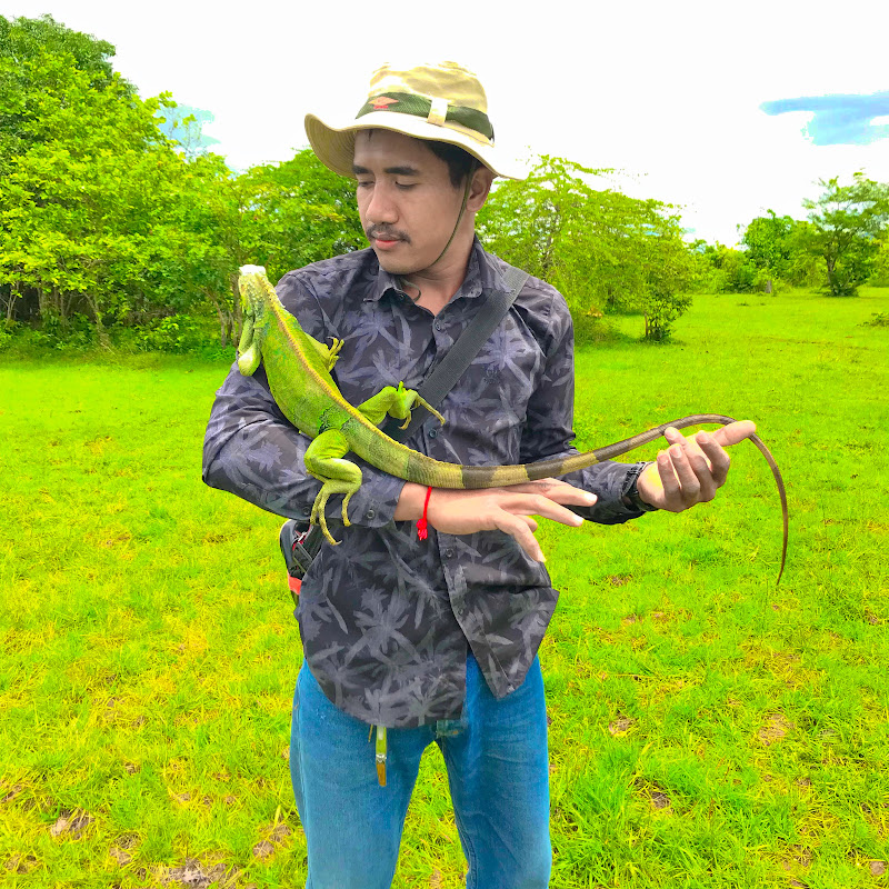 jungle my life