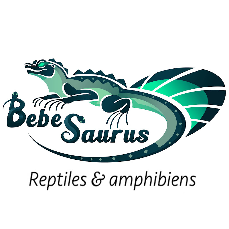 Bebesaurus 🦖