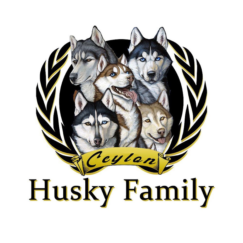 Ceylon Husky Family