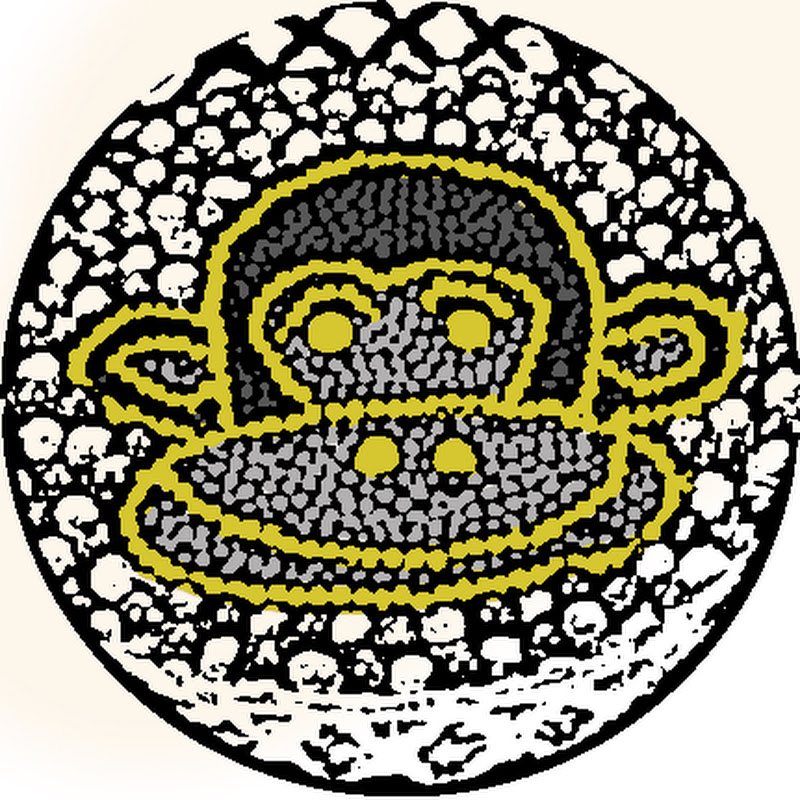 Saladolandia